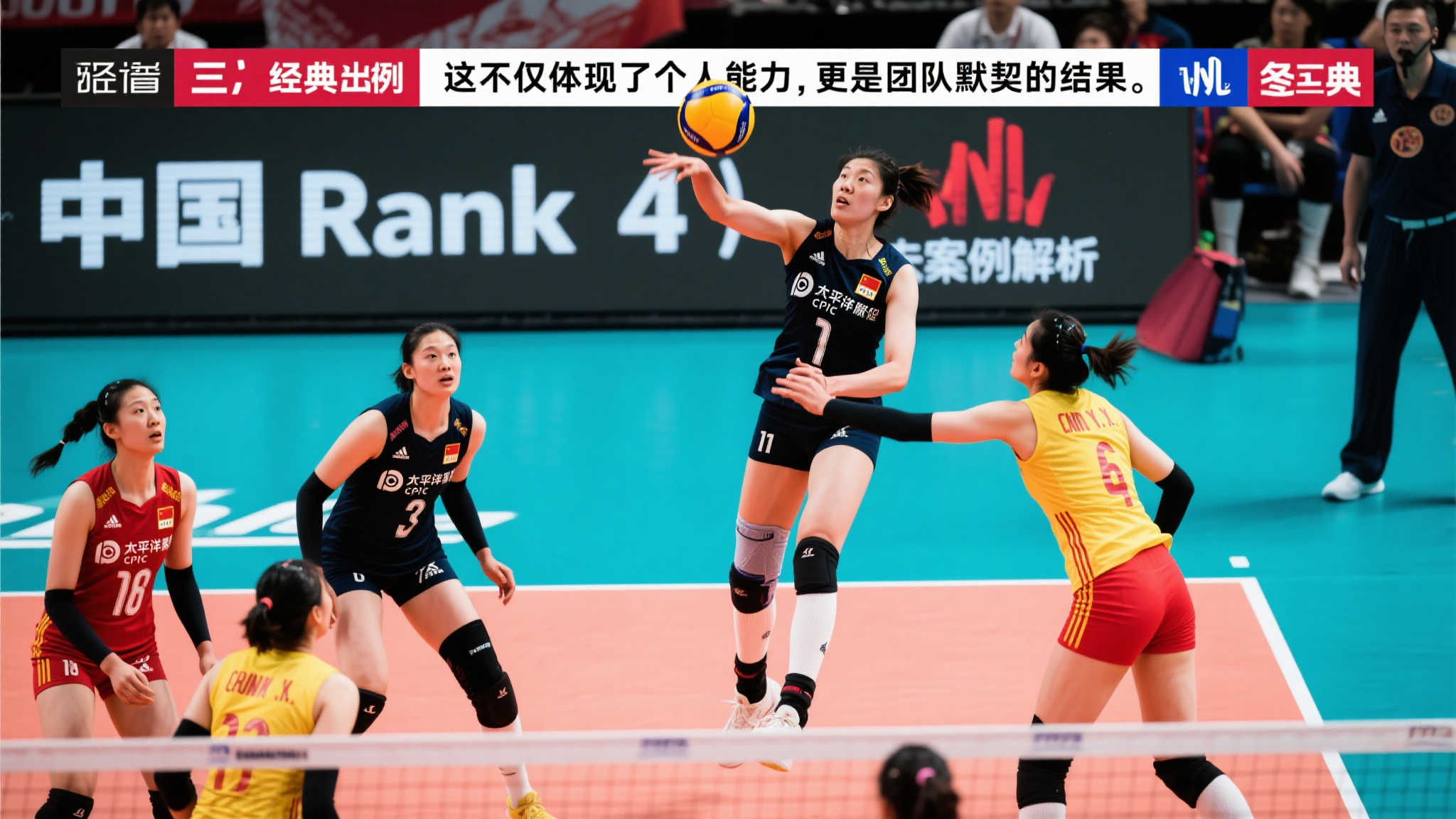 不仅可能增