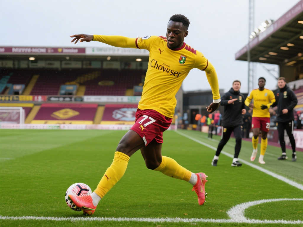 他遭到亚洲 他遭到亚洲